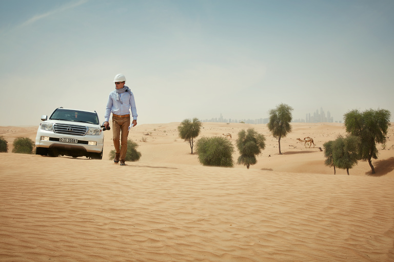 Partition - AXA_DUBAI_DESERT.jpg