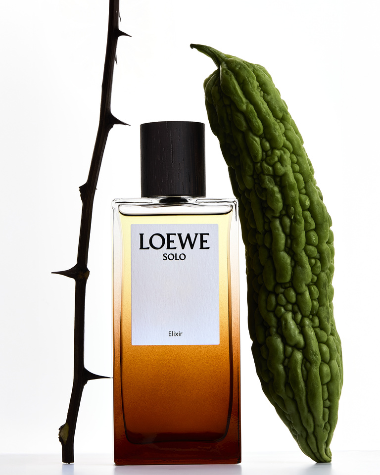 Partition - Wonderland_Loewe_Concombre-1.jpg