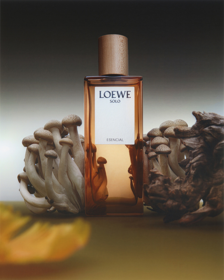 Partition - 26.04.2024_Selphy-LOEWE_ 3-ens-r_plat copie.jpg