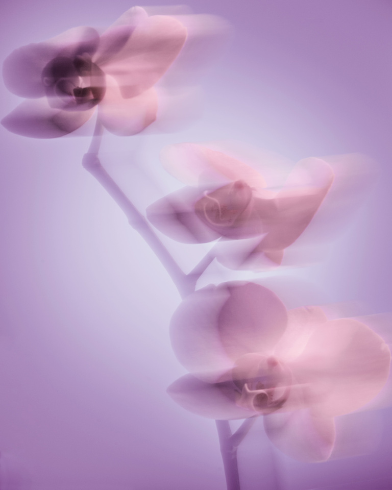 Partition - 22_10_17_Test_173.jpg