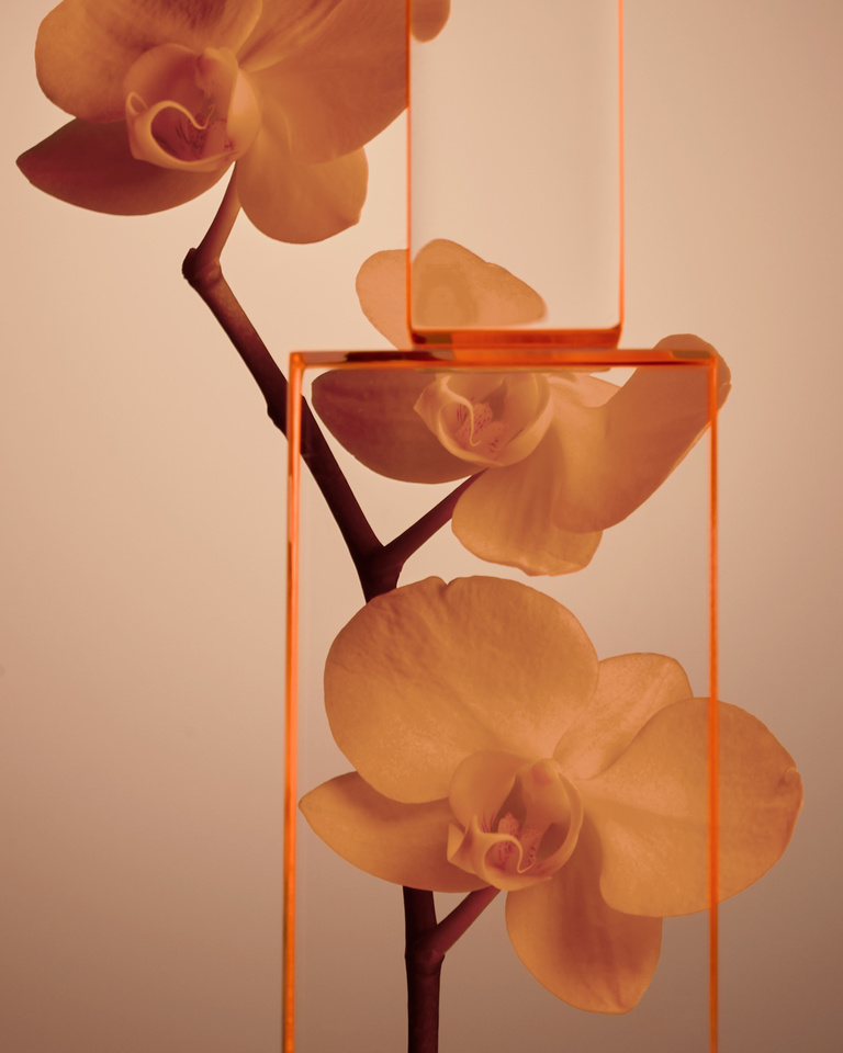 Partition - 22_10_17_Test_185.jpg