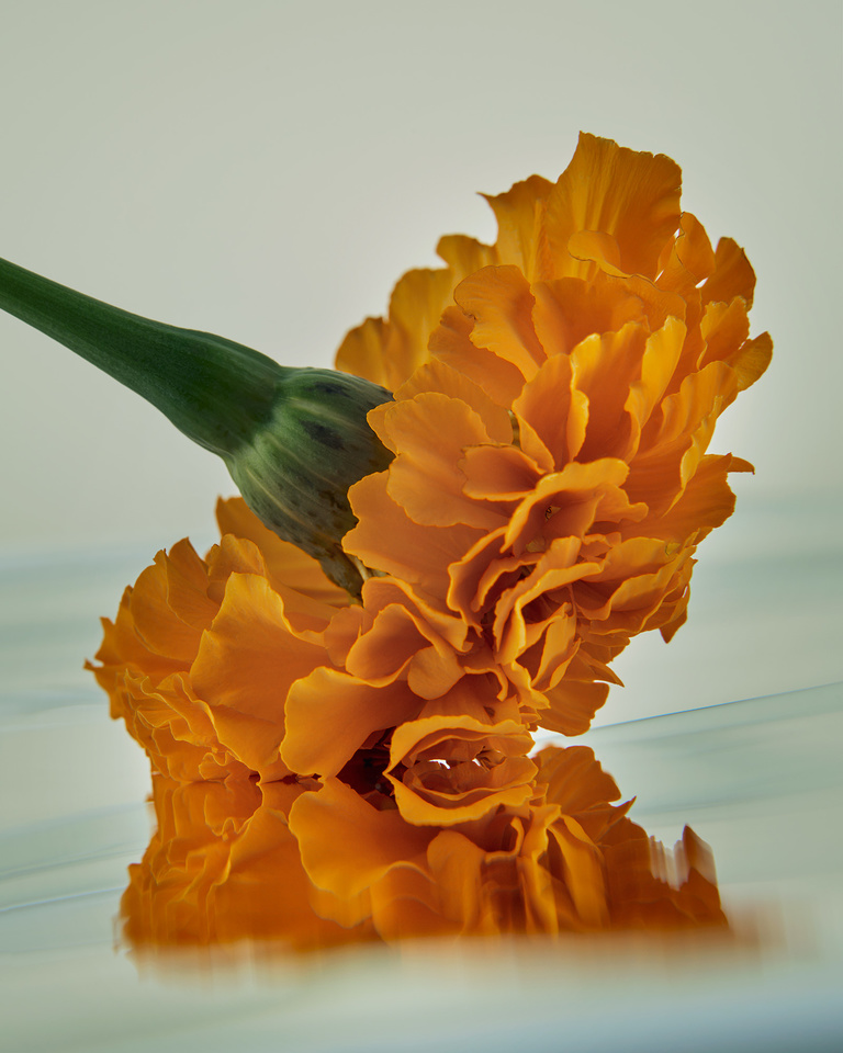 Partition - 24_08_16_FragranceTest_158.jpg