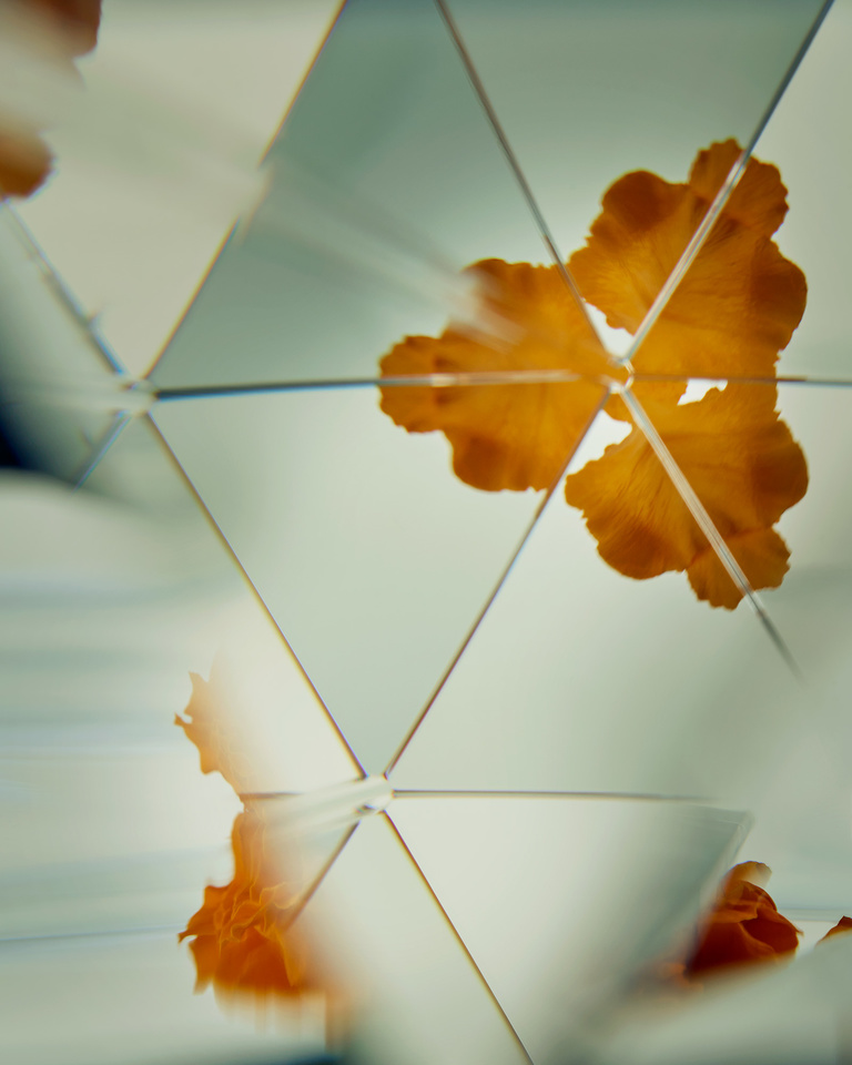 Partition - 24_08_16_FragranceTest_164.jpg