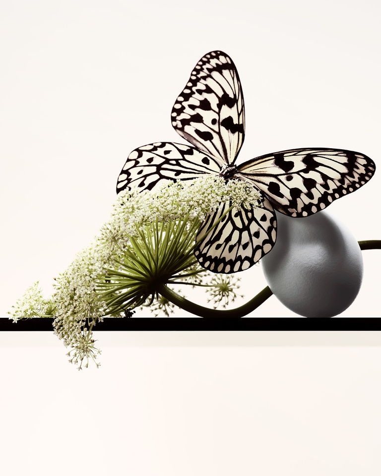 Partition - 25_01_03_FoodBTYtest_474.jpg