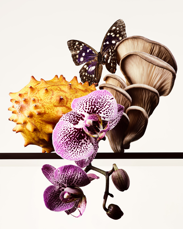 Partition - 25_01_03_FoodBTYtest_515.jpg