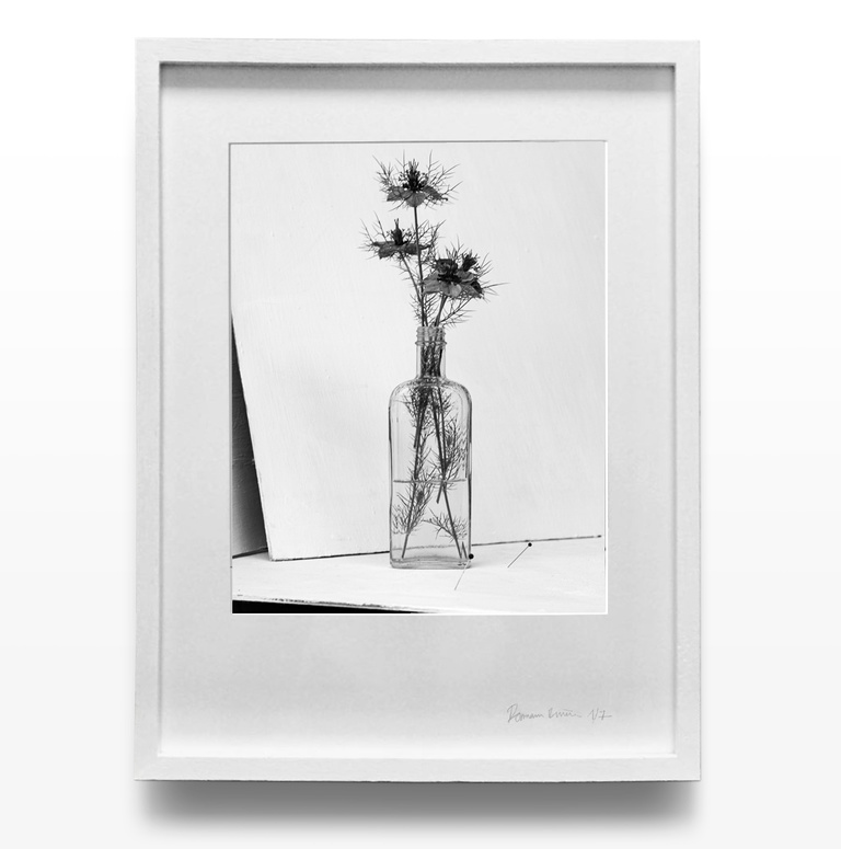 Partition - Romain Rivière / B&W Flowers - Tirages