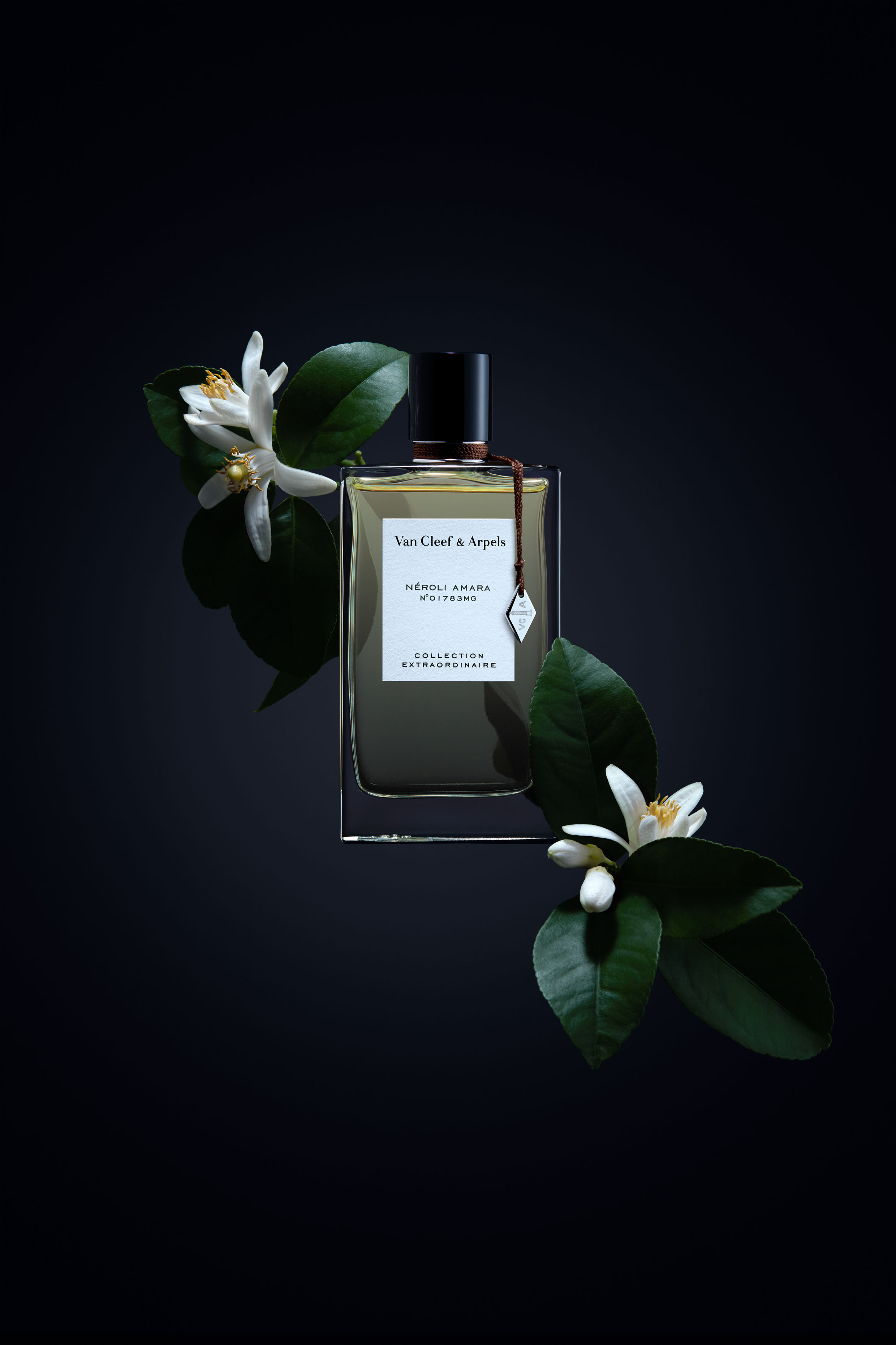 Partition - NEROLI_AMARA.jpg